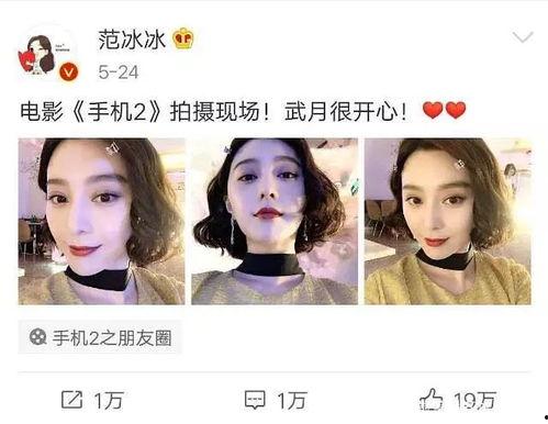 吃瓜系统娱乐圈小说合集